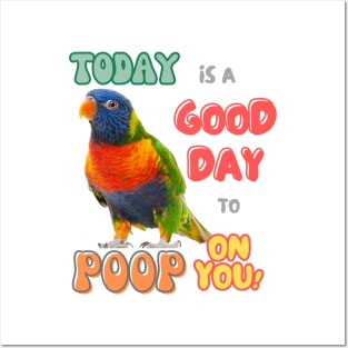 Rainbow lorikeet, Loriini bird, Parrot, Parakeet, Today is a good day to poop on you Posters and Art